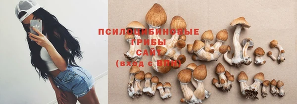 трава Алзамай