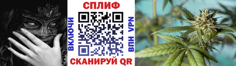 Каннабис MAZAR Калач
